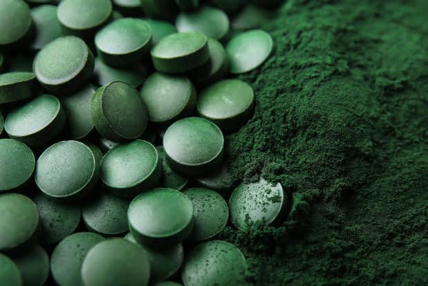 Chlorella